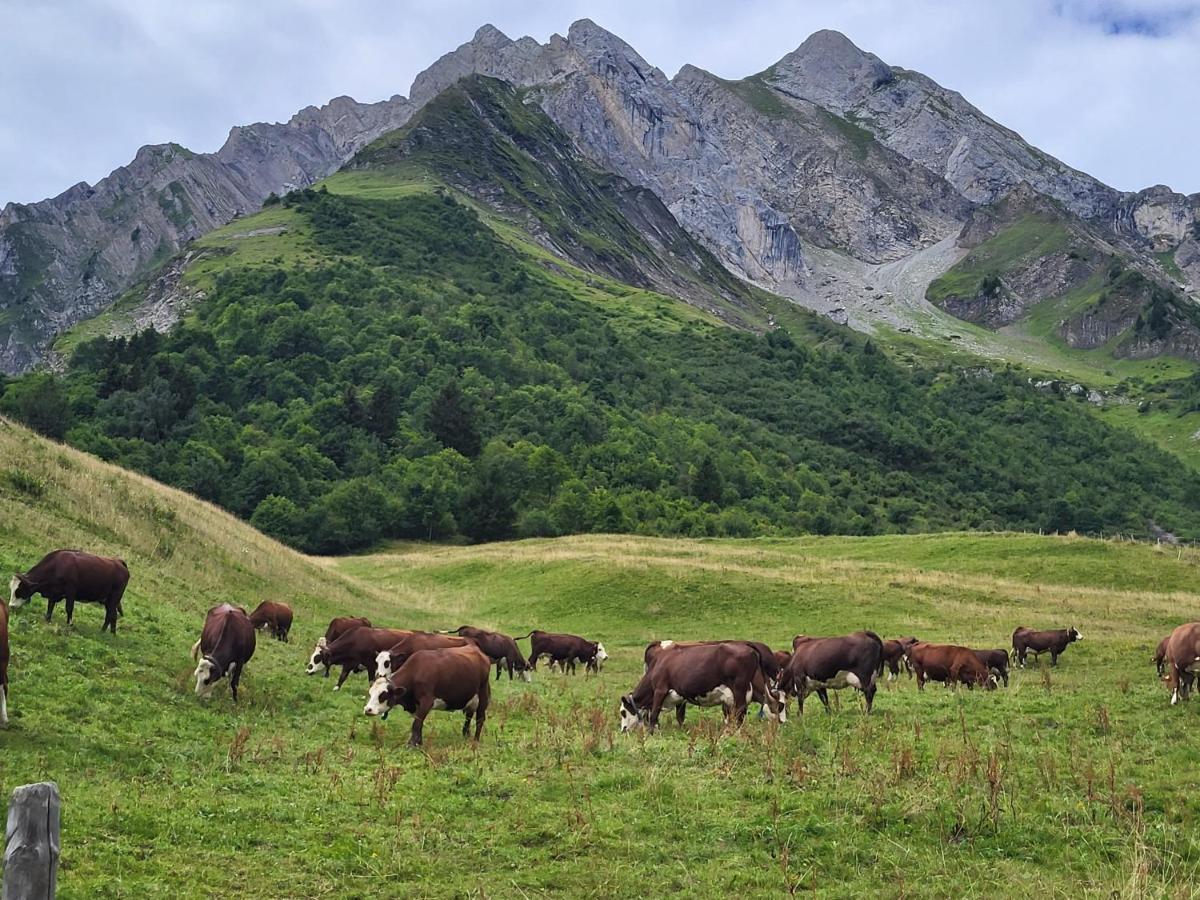 Вилла La Petite Anfiane Ле-Гран-Борнан Экстерьер фото